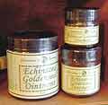 Salandrea's Essences Echinacea Goldenseal Salve