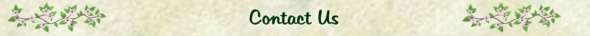 The Mustard Seed Natural Living Center - Contact Us