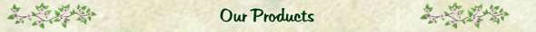 The Mustard Seed Natural Living Center - Our Products