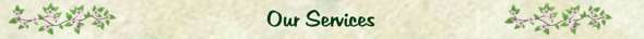 The Mustard Seed Natural Living Center - Our Services